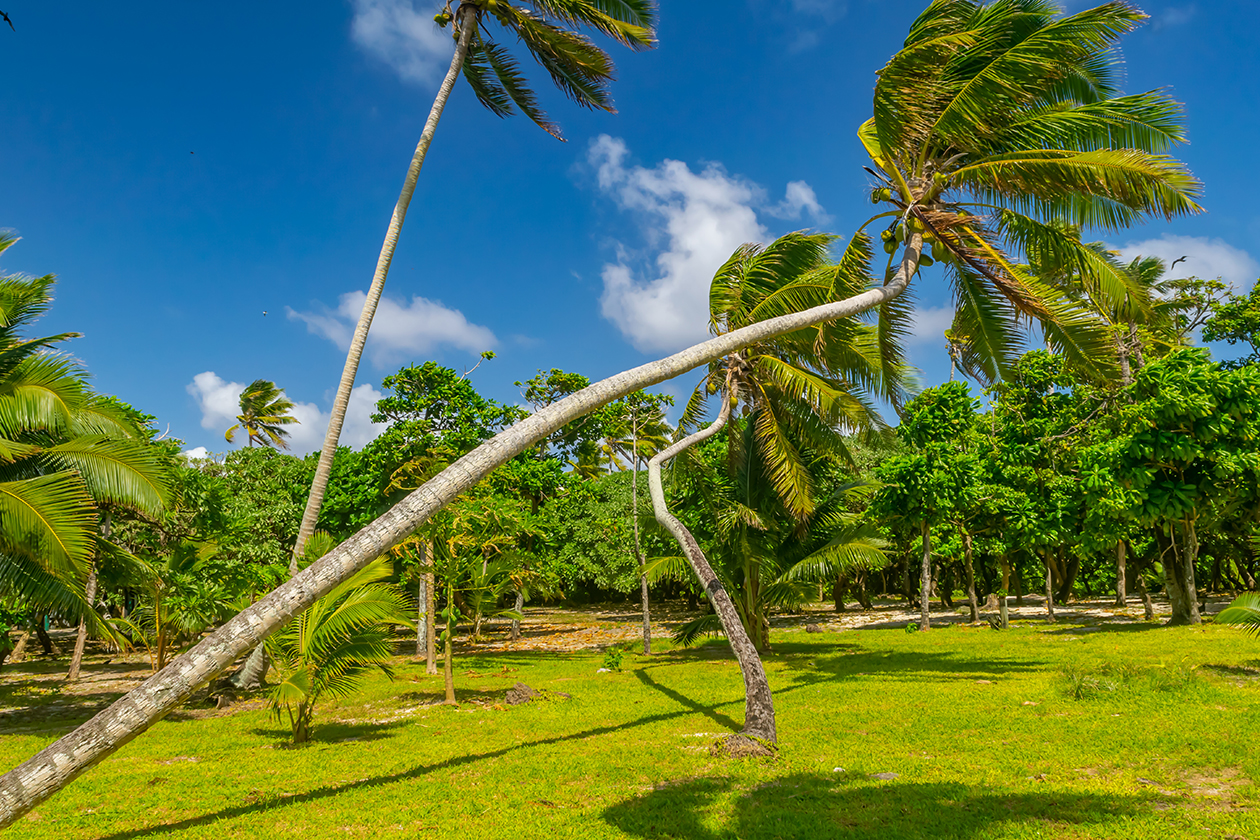 Nanuku Levu Island 21